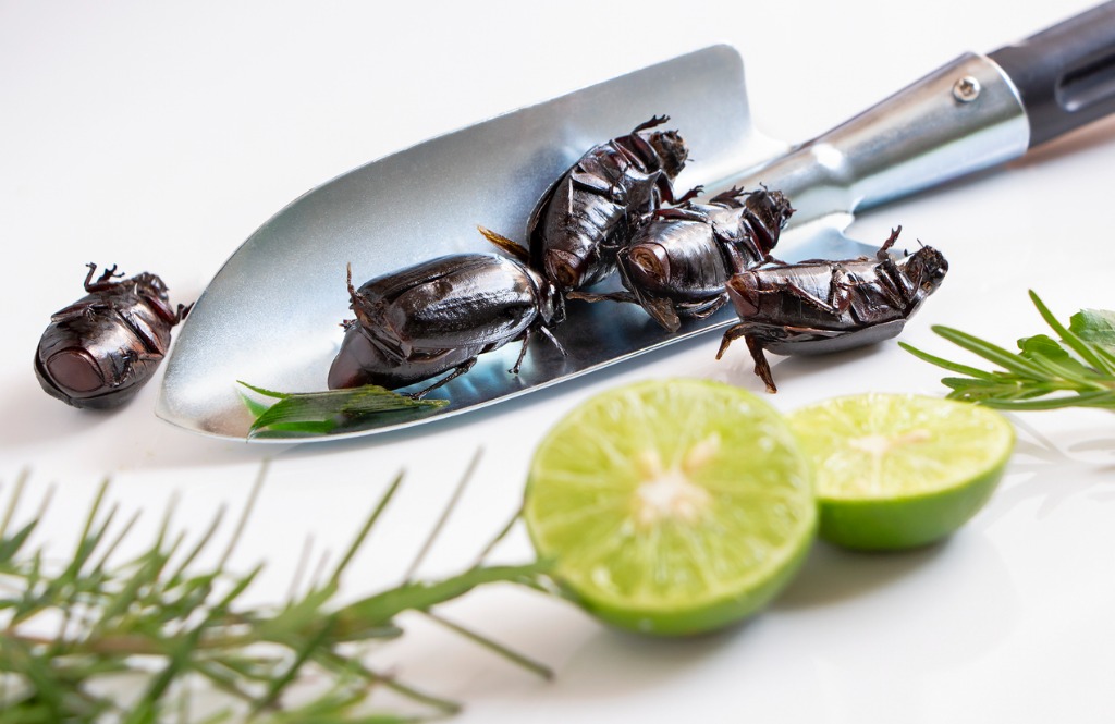 Are natural remedies as effective as chemical pesticides for eliminating cockroaches